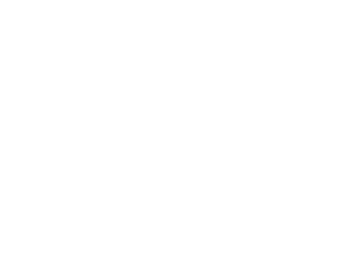 dr. 4 patas mirandela
