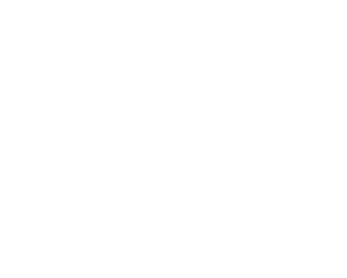guedes marques de pina
