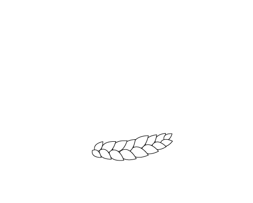 Padaria Abreiro Mirandela