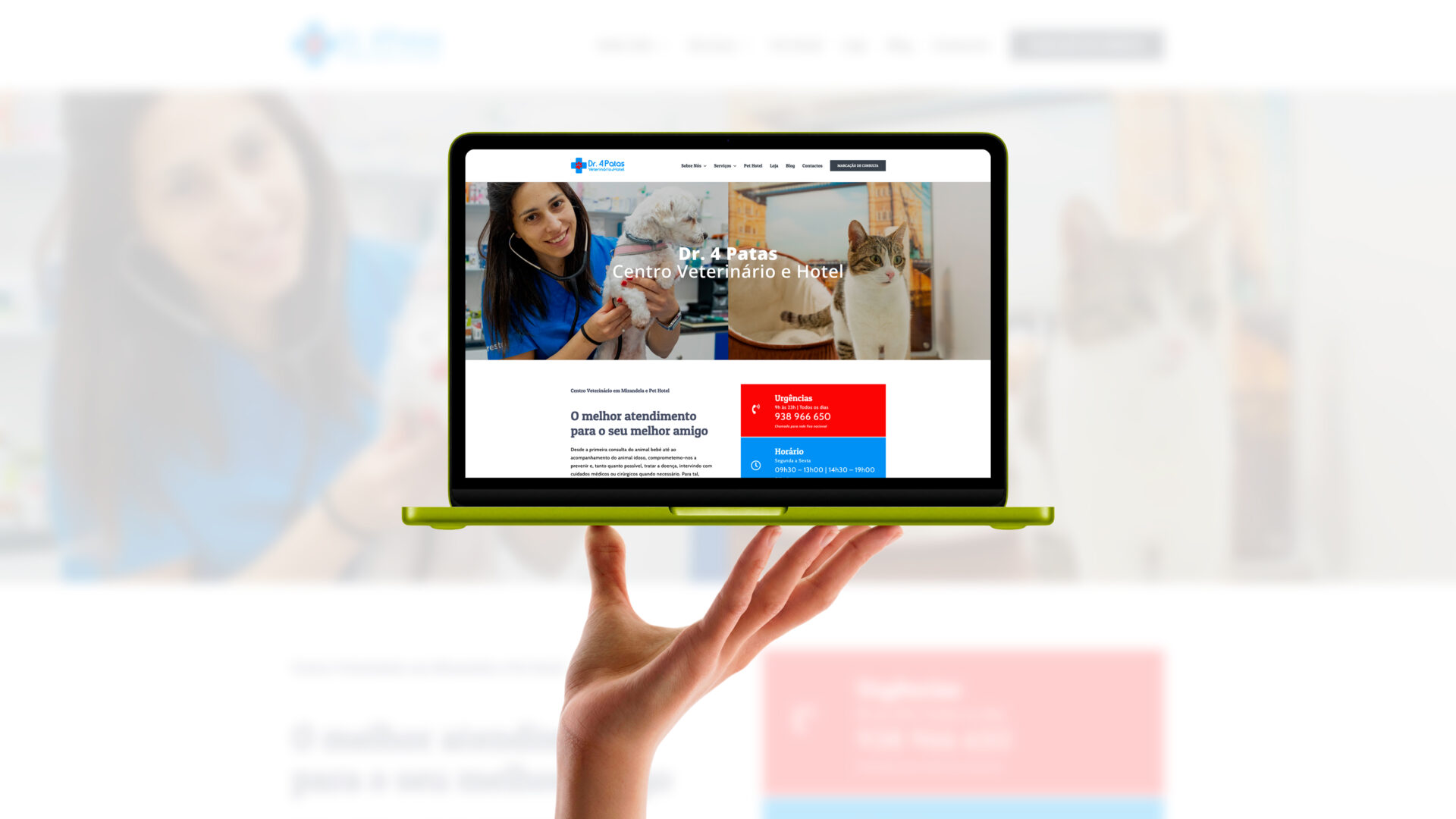 Website Dr. 4 Patas